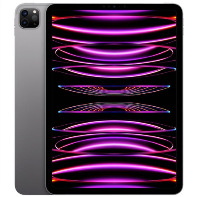 iPad Pro 11 256gb wifi 4gen