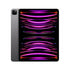 iPad Pro 12.9 1tb cellular 2022 6a gen-Grigio siderale-iStoreMilano