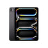 iPad Pro 11 256gb cellular 2024-Nero siderale-iStoreMilano