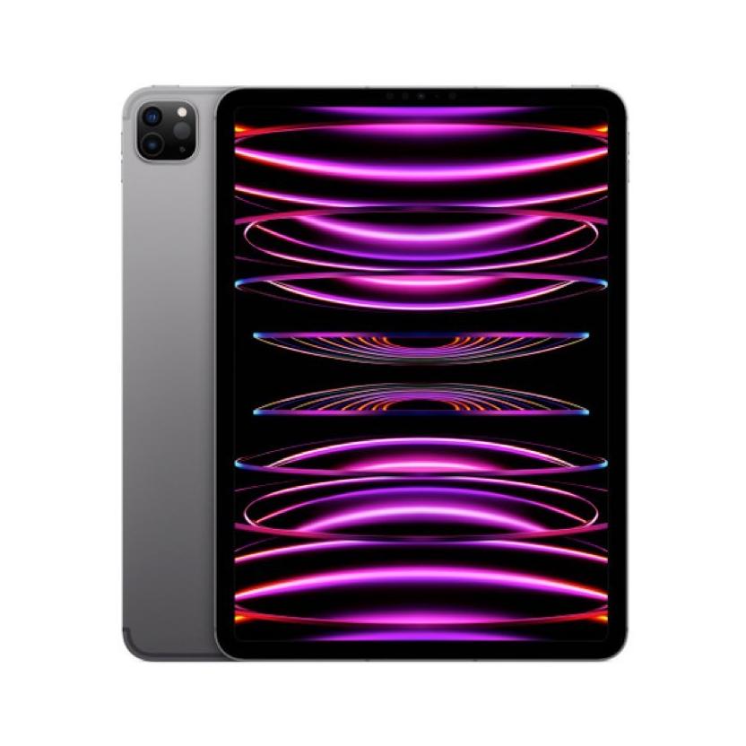 iPad Pro 11 256gb cellular 4gen-Grigio siderale-iStoreMilano