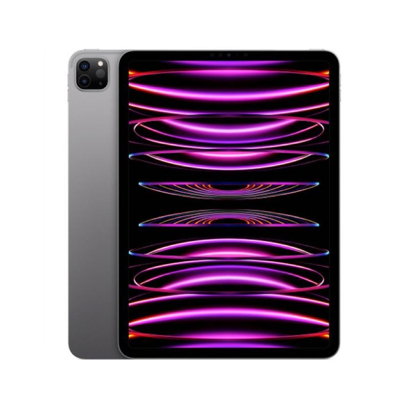 iPad Pro 11 256gb wifi 4gen-Grigio siderale-iStoreMilano