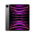 iPad Pro 12.9 256gb cellular 2022 6a gen-Grigio siderale-iStoreMilano